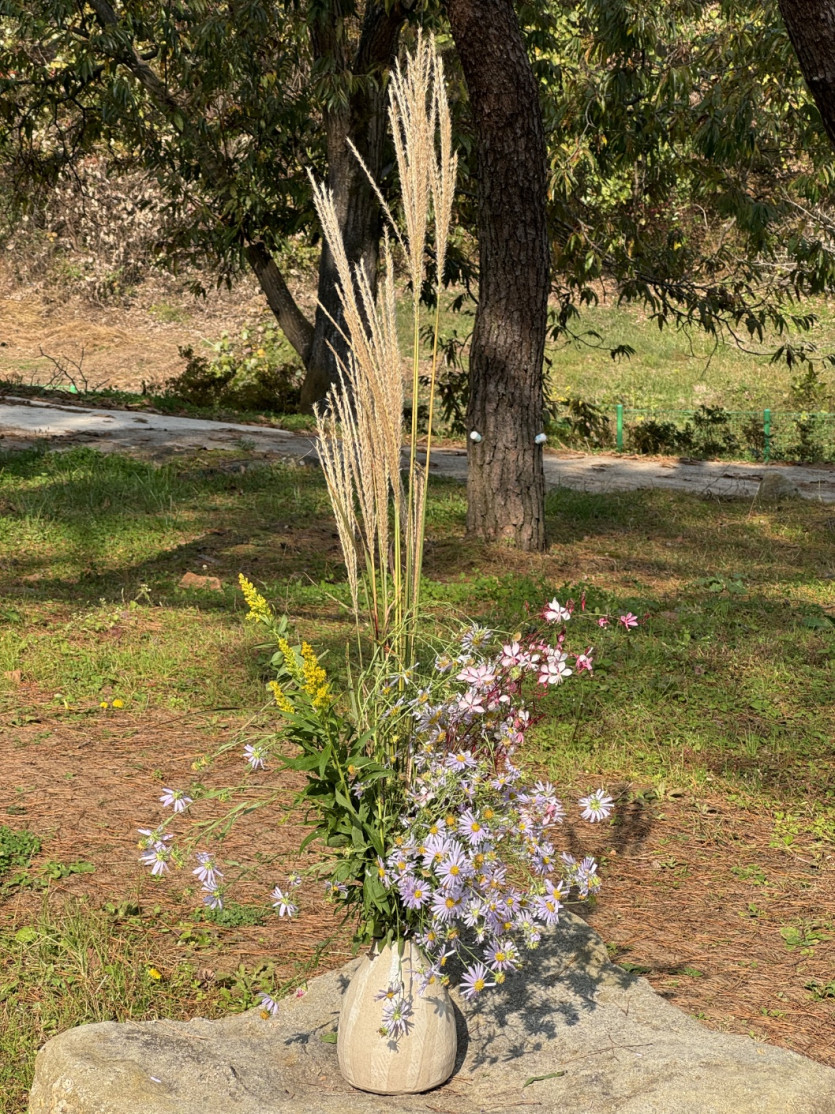 6d3fbcabb51de7a5bcb78f46cc782afe_1731655035_4933.jpg